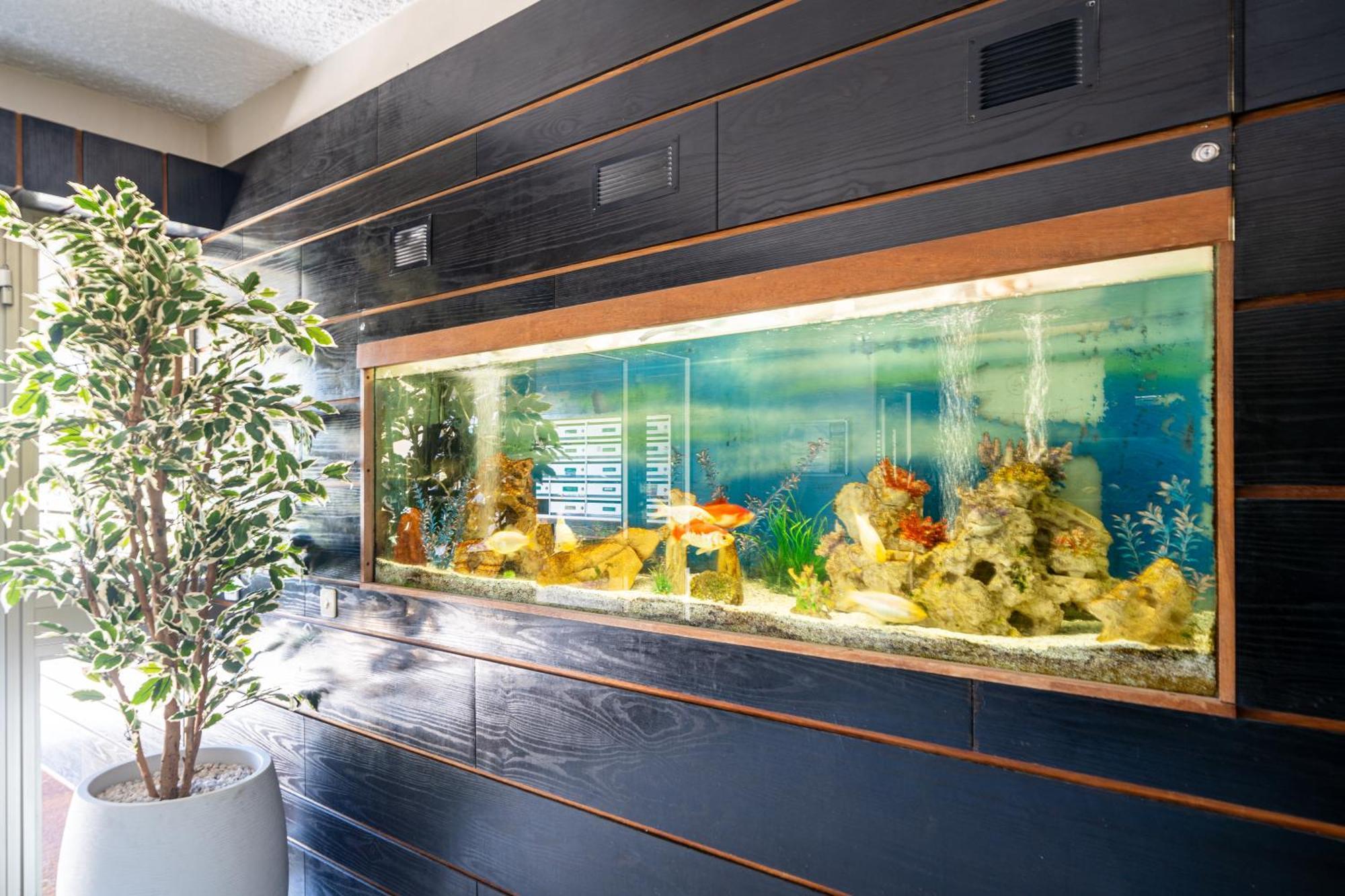 Magnifique 2 Pieces Vue Mer - Parking Proche Plage แซ็งต์-โลร็อง-ดู-วาร์ ภายนอก รูปภาพ